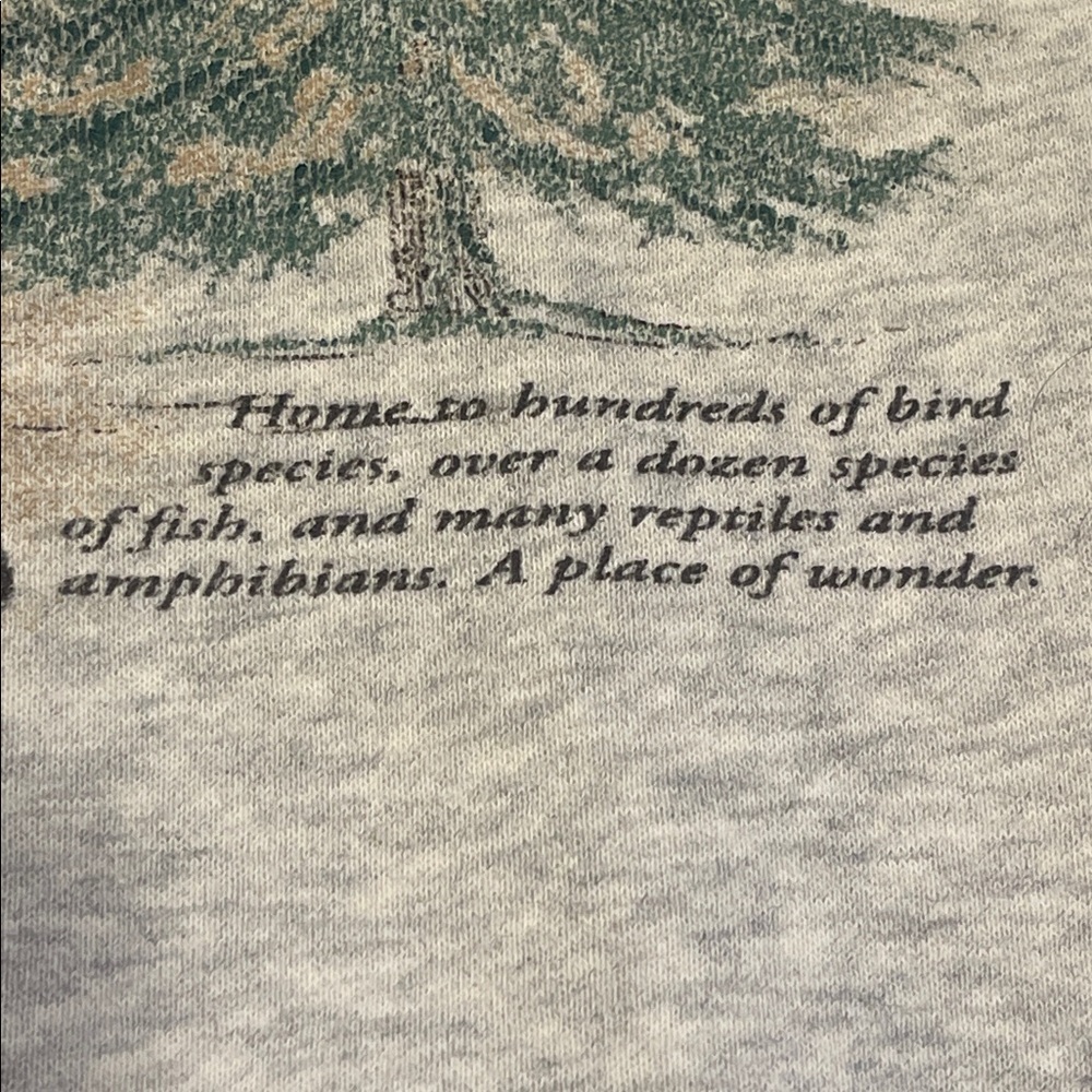 T0102107 A&F Smoky Mountains Tennessee North Carolina sweatshirt Oversized SZ S - Picture 6 of 6